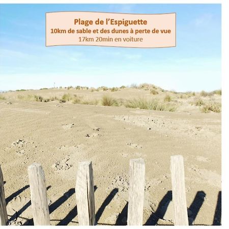 Suite Thalassa 1Ere Ligne Plages Du Couchant Wifi - Rossiconciergerie - Linge Inclus La Grande-Motte Zewnętrze zdjęcie