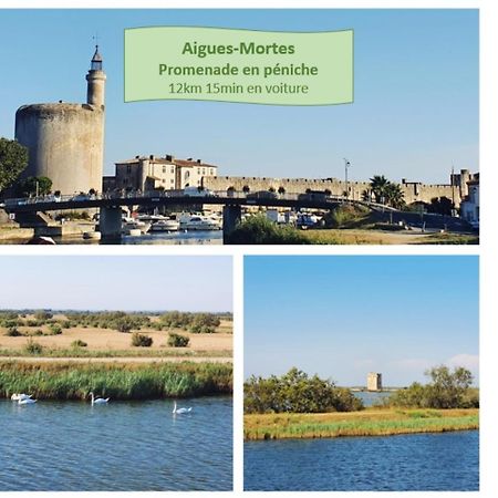 Suite Thalassa 1Ere Ligne Plages Du Couchant Wifi - Rossiconciergerie - Linge Inclus La Grande-Motte Zewnętrze zdjęcie