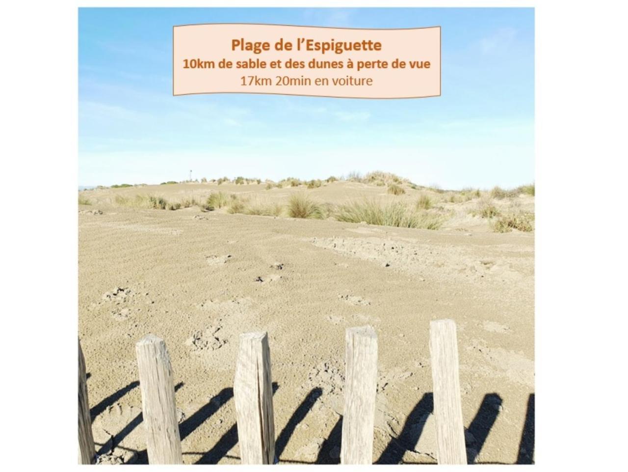 Suite Thalassa 1Ere Ligne Plages Du Couchant Wifi - Rossiconciergerie - Linge Inclus La Grande-Motte Zewnętrze zdjęcie