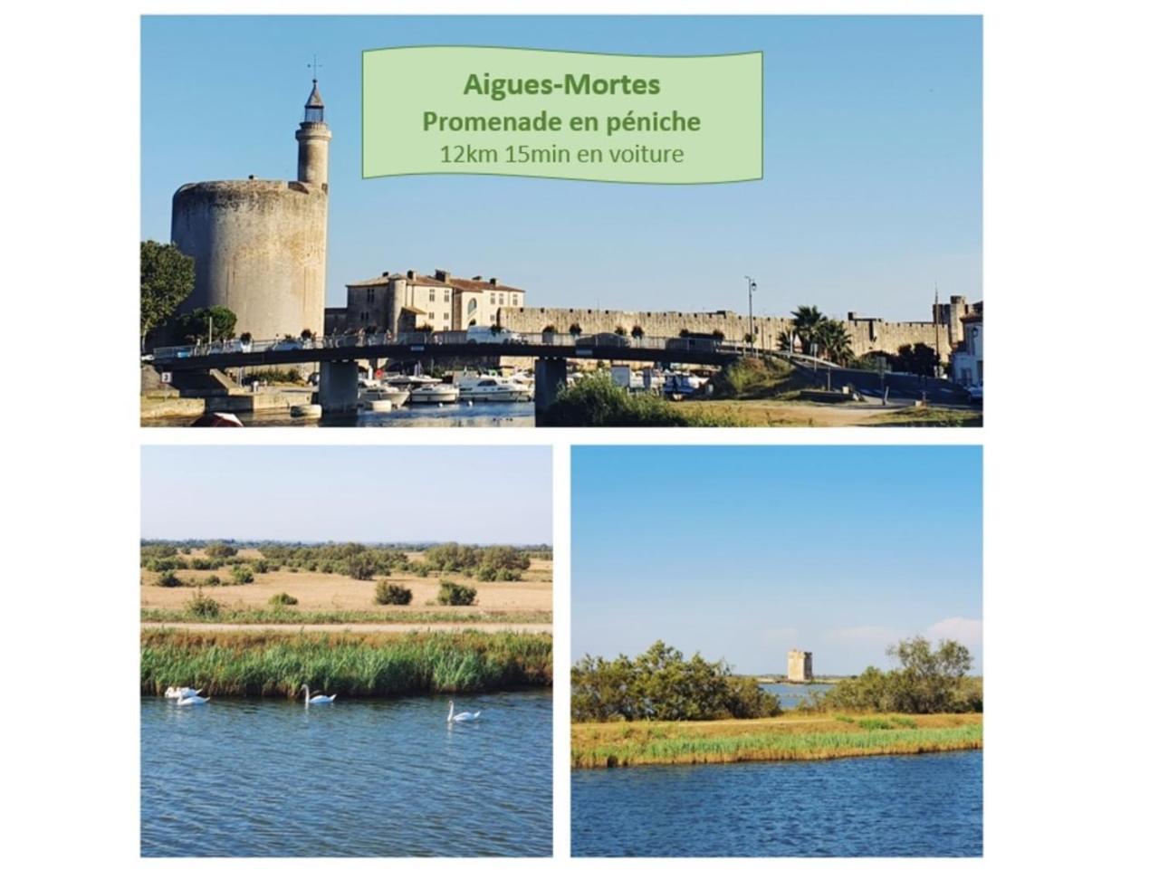 Suite Thalassa 1Ere Ligne Plages Du Couchant Wifi - Rossiconciergerie - Linge Inclus La Grande-Motte Zewnętrze zdjęcie